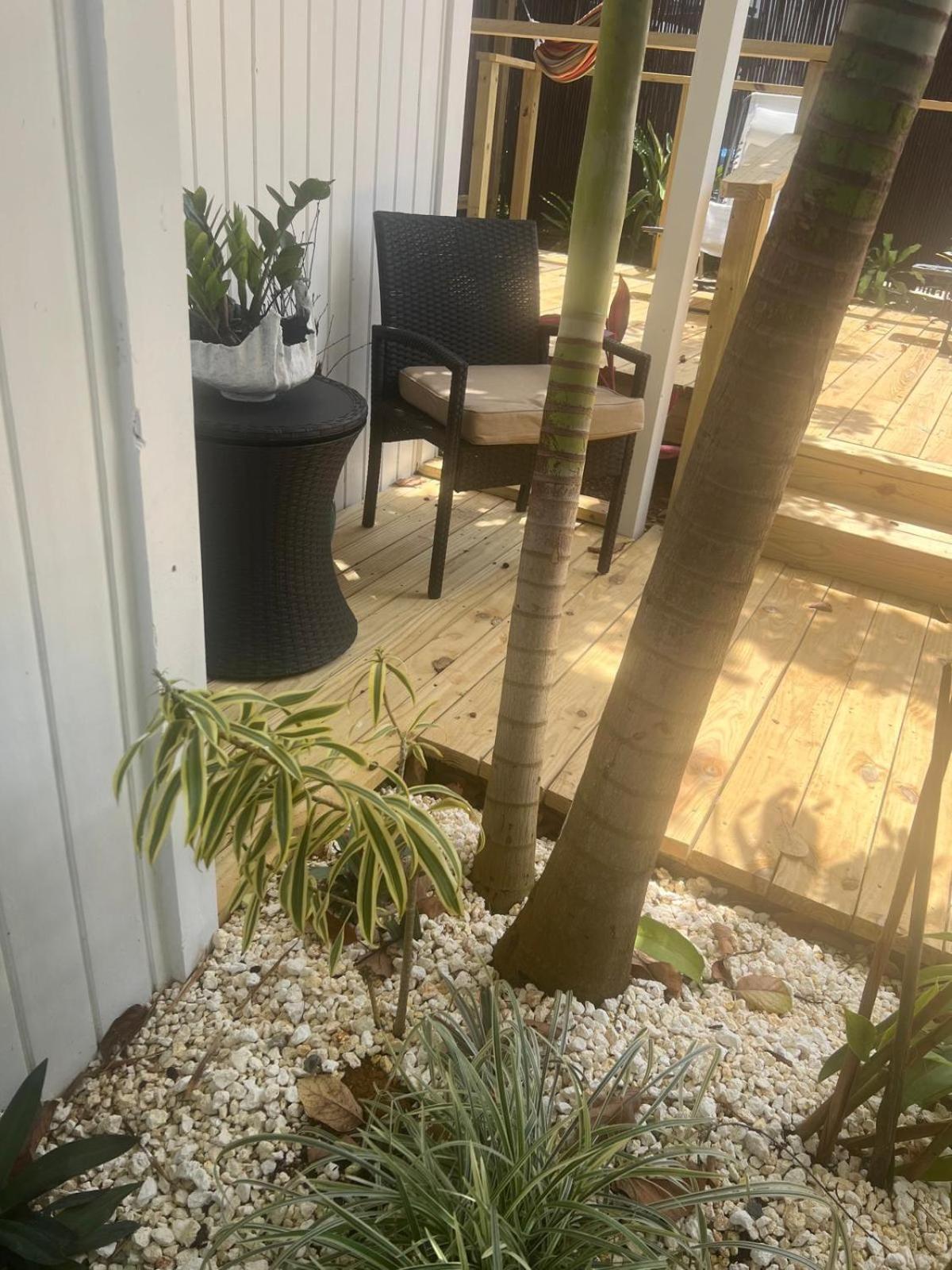 Bella Noni B&B Aguadilla Dış mekan fotoğraf